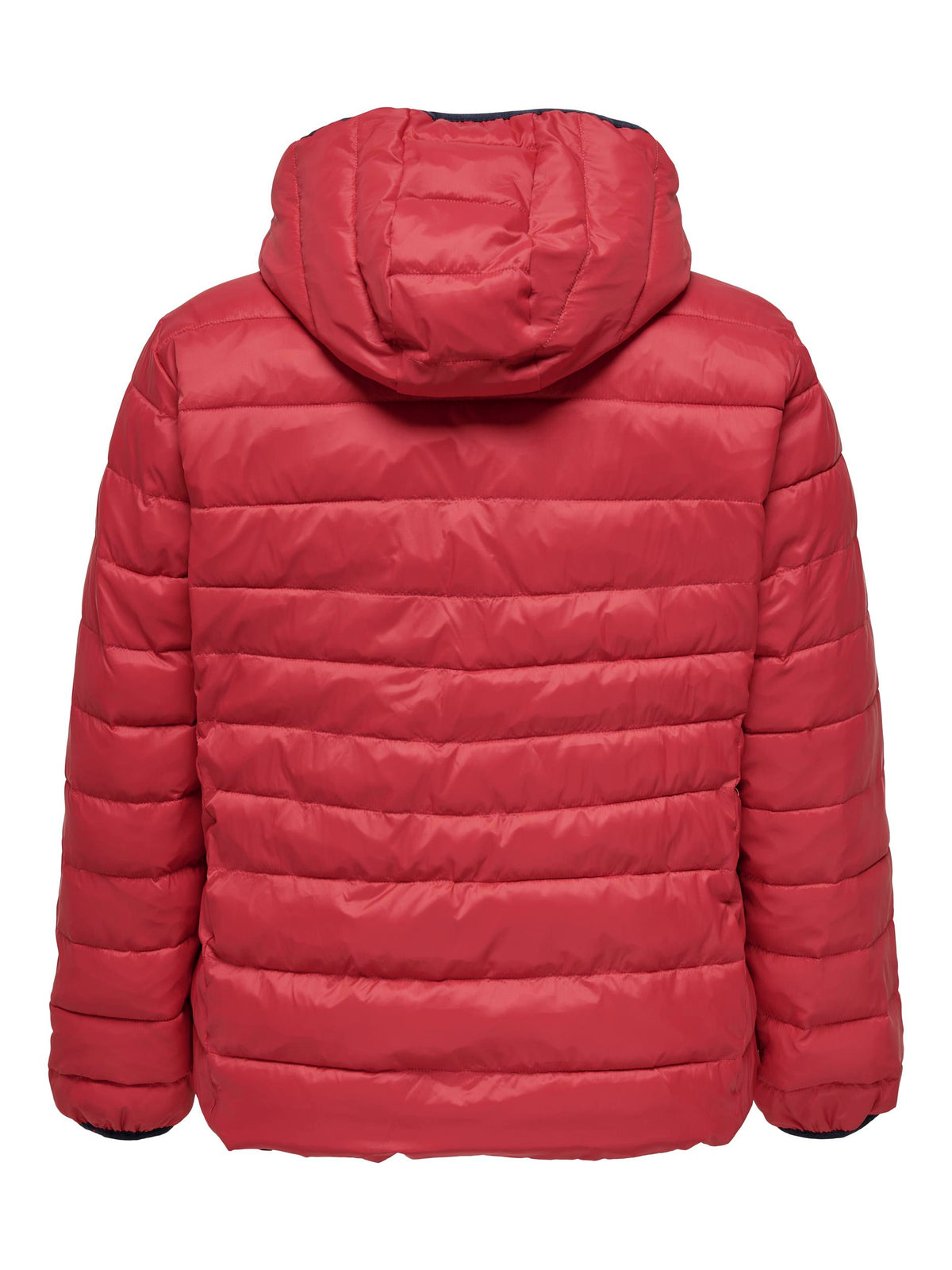 Only Carmakoma Tahoe Reversible Coat in Red/Navy