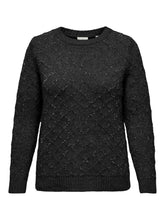 Only Carmakoma Alba Knit Jumper in Black