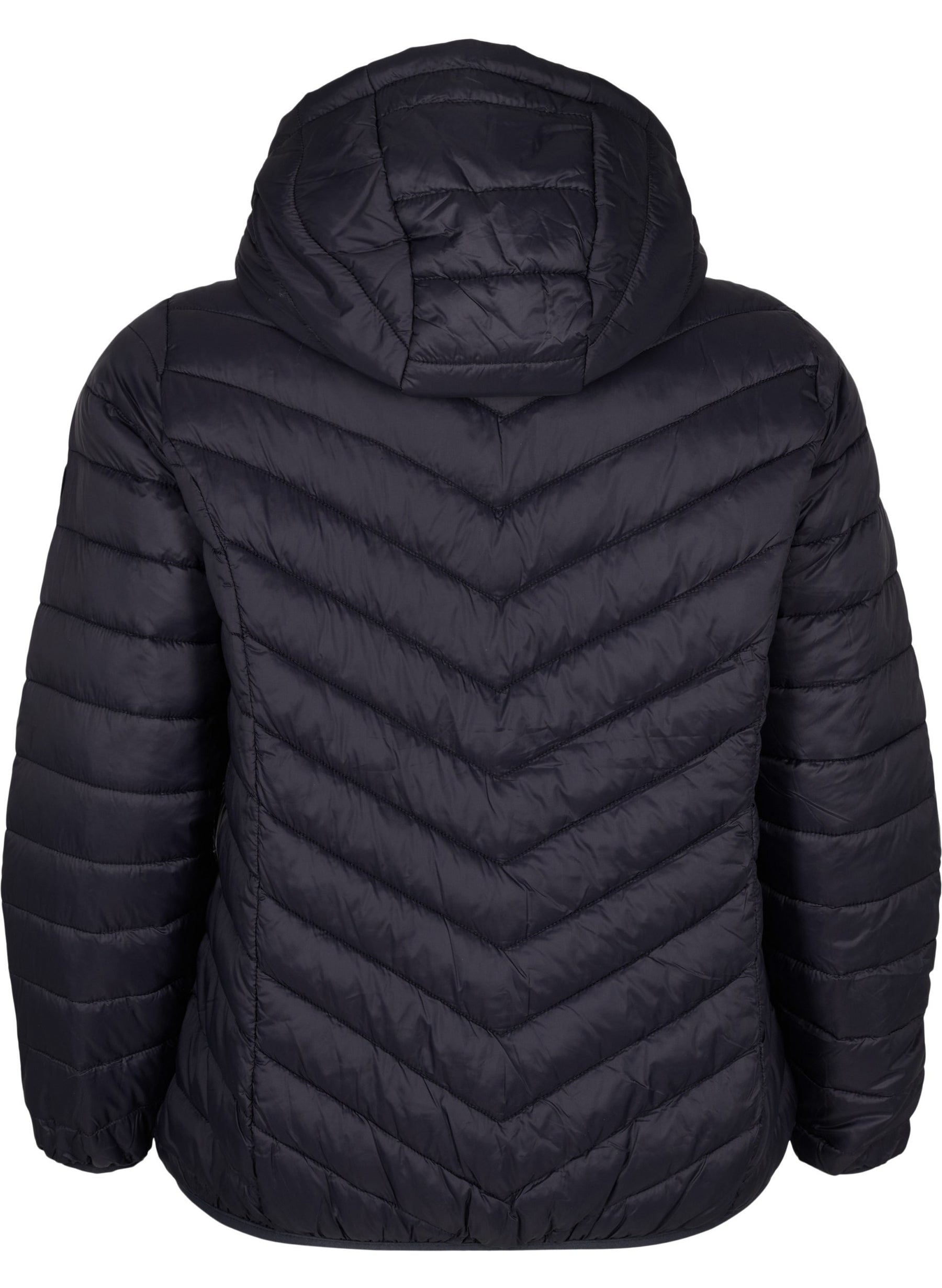 Zizzi Sally Lightweight Jacket in Black