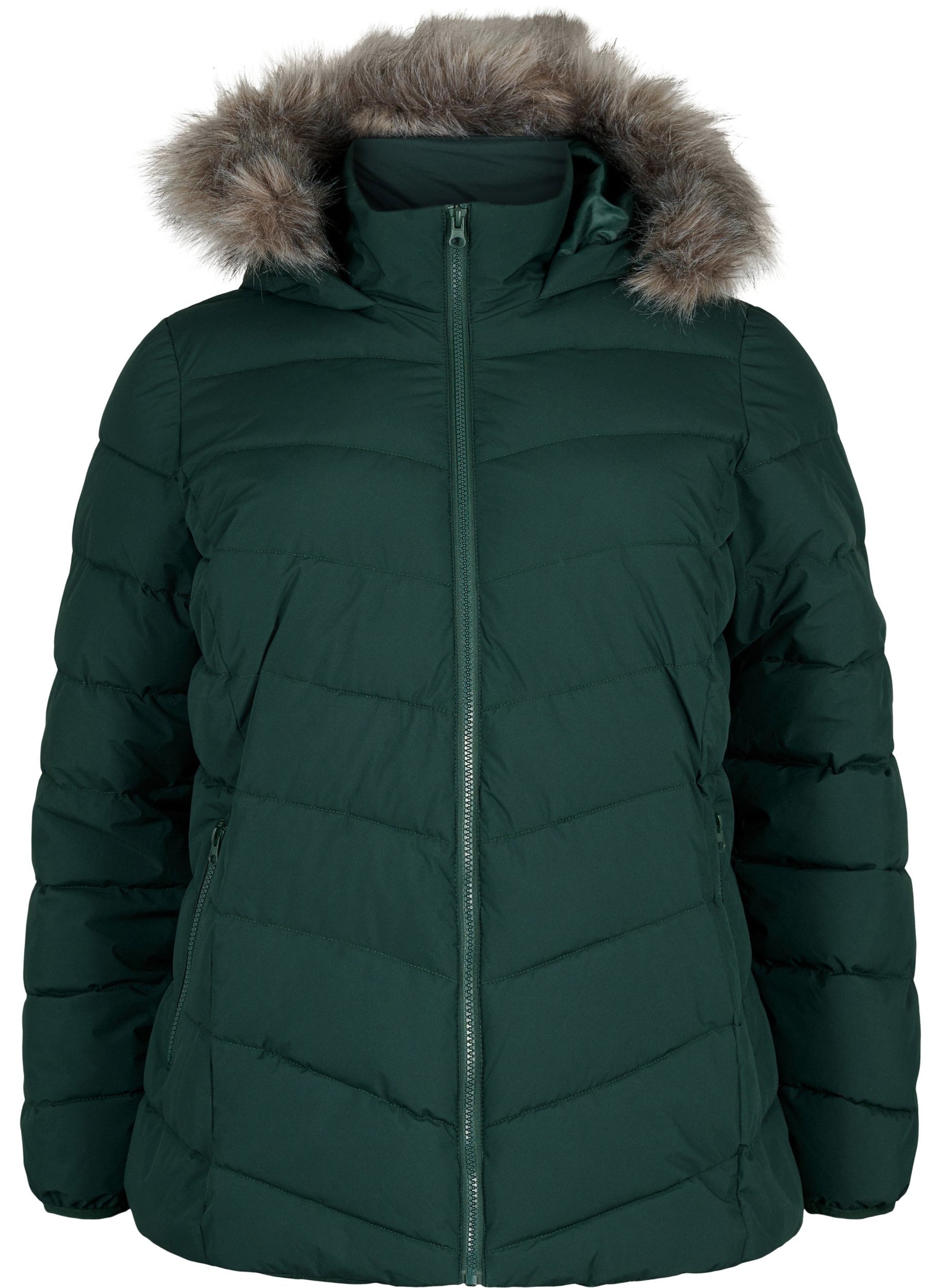 Zizzi Julia Coat in Green