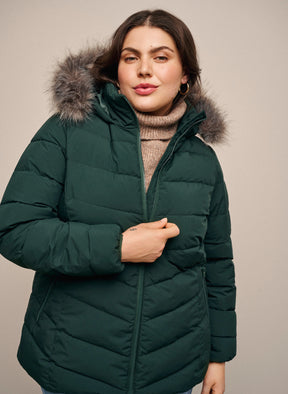 Zizzi Julia Coat in Green