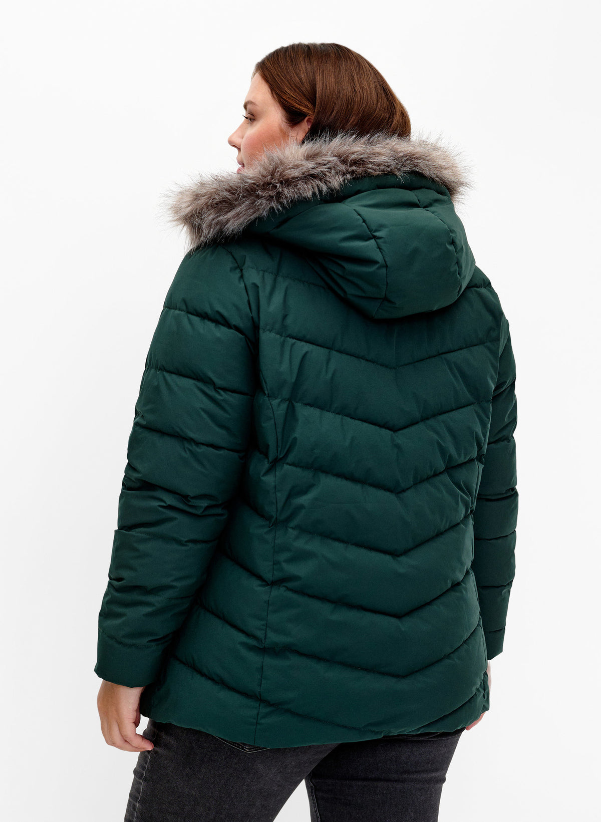 Zizzi Julia Coat in Green